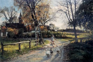 A walk in the garden along with the birds